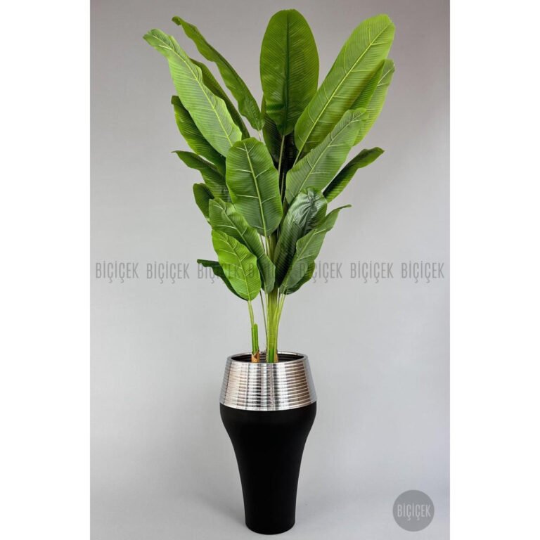 Biçiçek 220cm Starliçe Bitkisi
