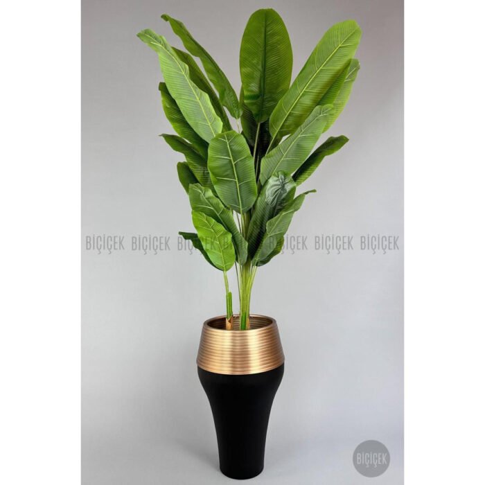 Biçiçek 220cm Starliçe Bitkisi 5