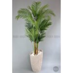 Biçiçek Areka Palmiyesi 250 5