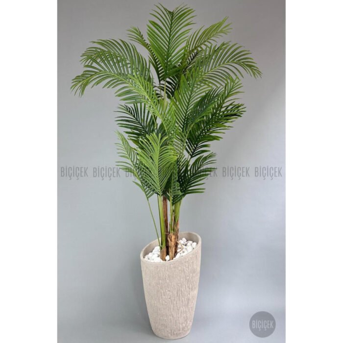 Biçiçek Areka Palmiyesi 250 5