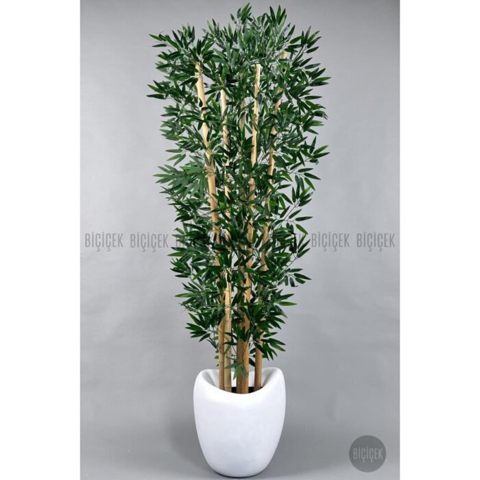 Biçiçek Zen Bambu Ağacı 5