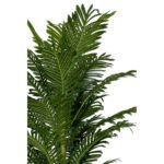 Biçiçek Areka Palmiyesi 170cm 6