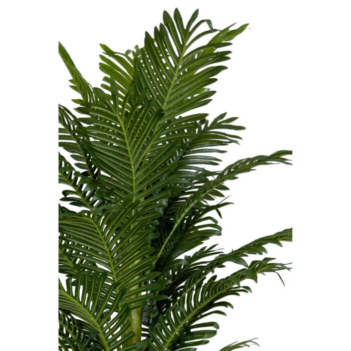 Biçiçek Areka Palmiyesi 170cm 6
