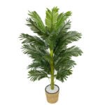 Biçiçek Areka Palmiyesi 140cm 6