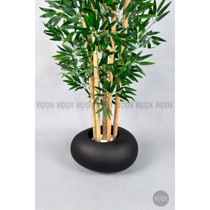 Biçiçek Zen Bambu Ağacı 5