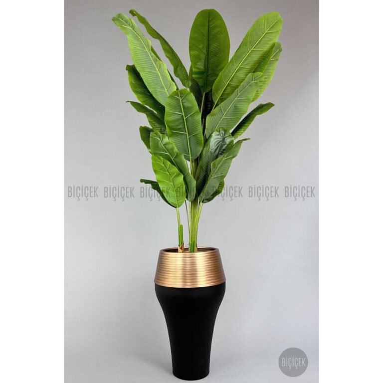 Biçiçek 220cm Starliçe Bitkisi