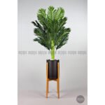 Biçiçek 150cm Areka Ağacı 6