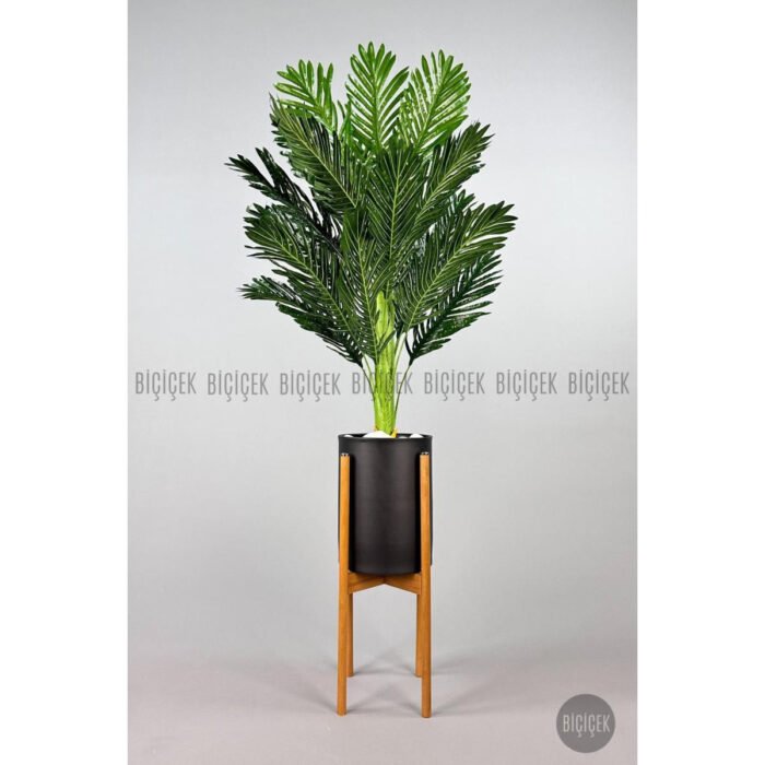 Biçiçek 150cm Areka Ağacı 6