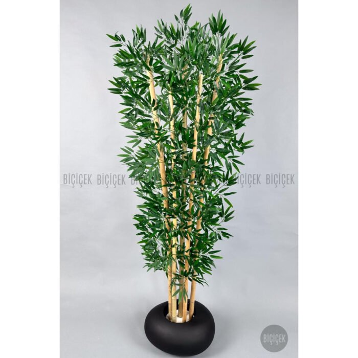 Biçiçek Zen Bambu Ağacı 6