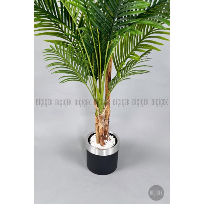 Biçiçek Areka Palmiyesi 220cm 6