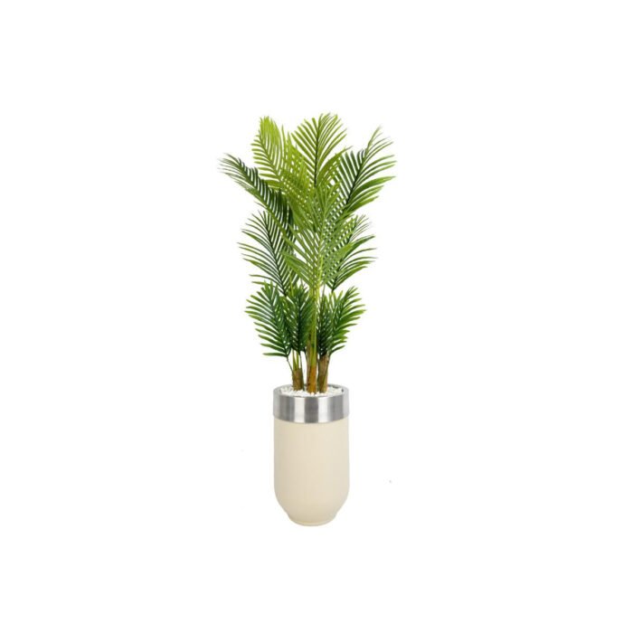 Biçiçek Areka Palmiyesi 160cm 6