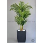 Biçiçek Areka Palmiyesi 220 5
