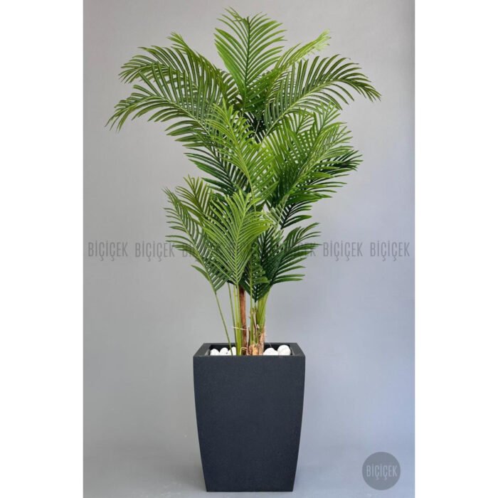 Biçiçek Areka Palmiyesi 220 5