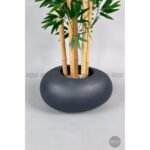 Biçiçek Zen Bambu Ağacı 5