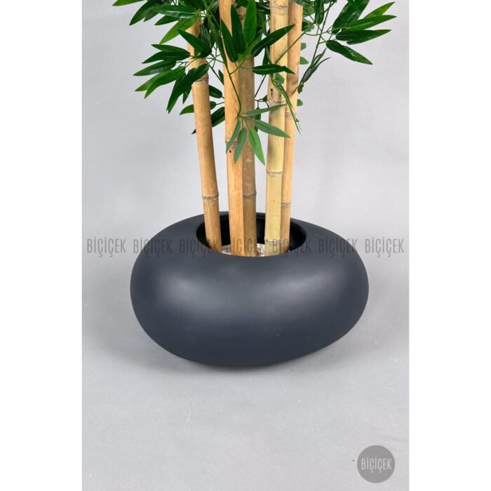 Biçiçek Zen Bambu Ağacı 5