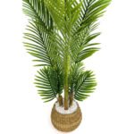 Biçiçek Areka Palmiyesi 130cm 5
