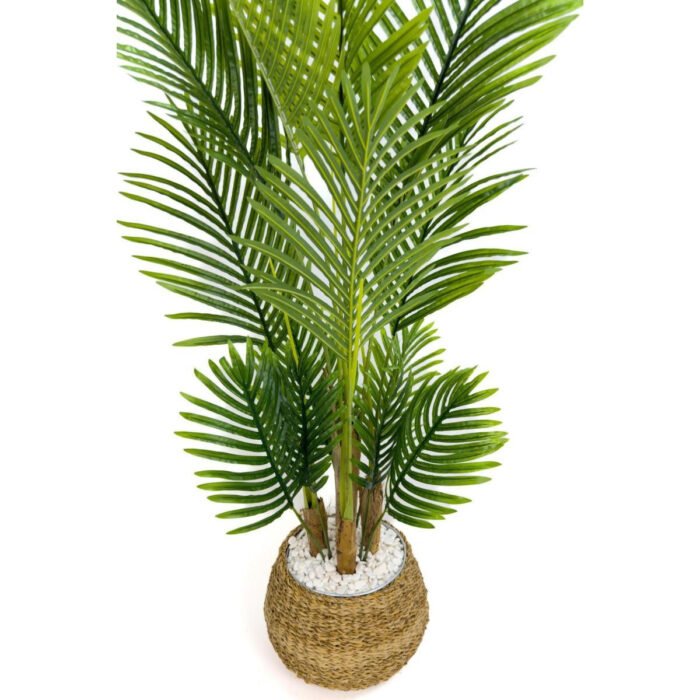 Biçiçek Areka Palmiyesi 130cm 5
