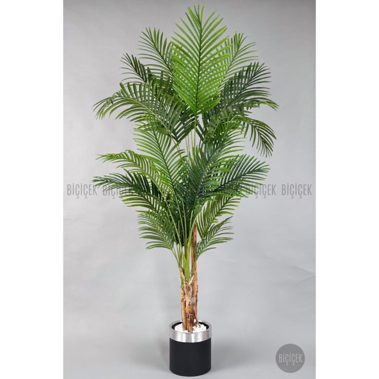 Biçiçek Areka Palmiyesi 220cm