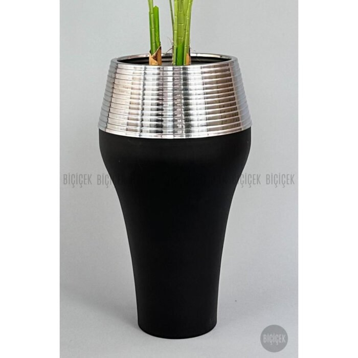 Biçiçek 220cm Starliçe Bitkisi 6