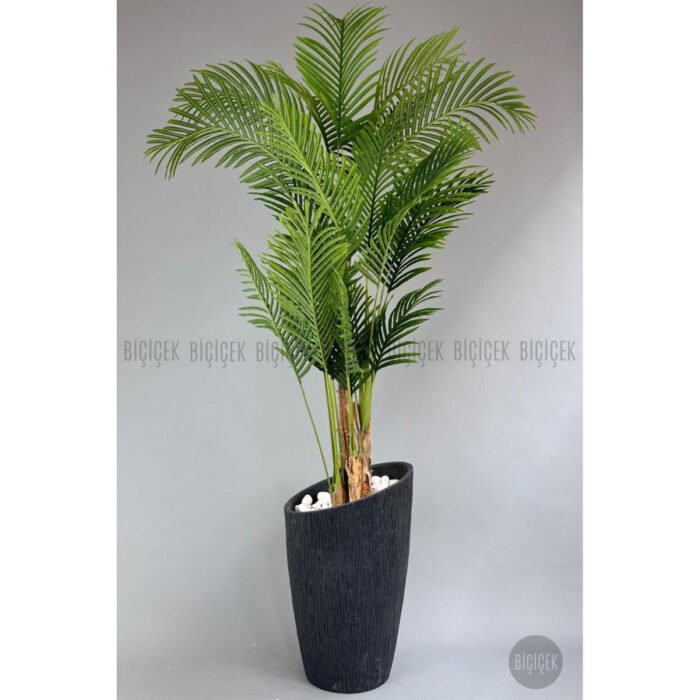 Biçiçek Areka Palmiyesi 250 6