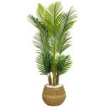 Biçiçek Areka Palmiyesi 130cm 6