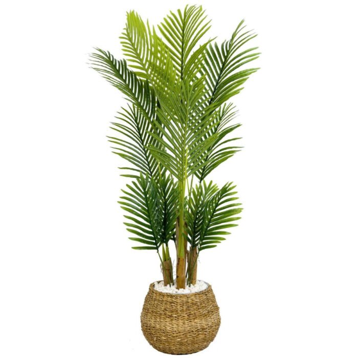 Biçiçek Areka Palmiyesi 130cm 6