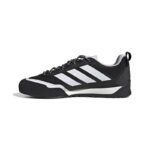 Adidas Terrex Skychaser Solo
