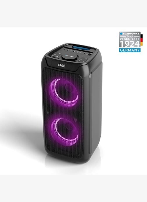 Blaupunkt PL800 Kablosuz Bluetooth 2