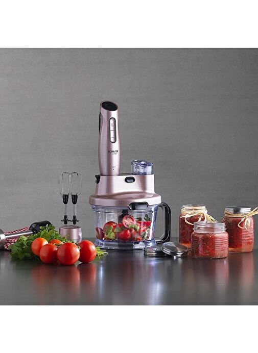 Schafer Meister Multi Blender 2