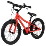 Batch Alu 20” neon