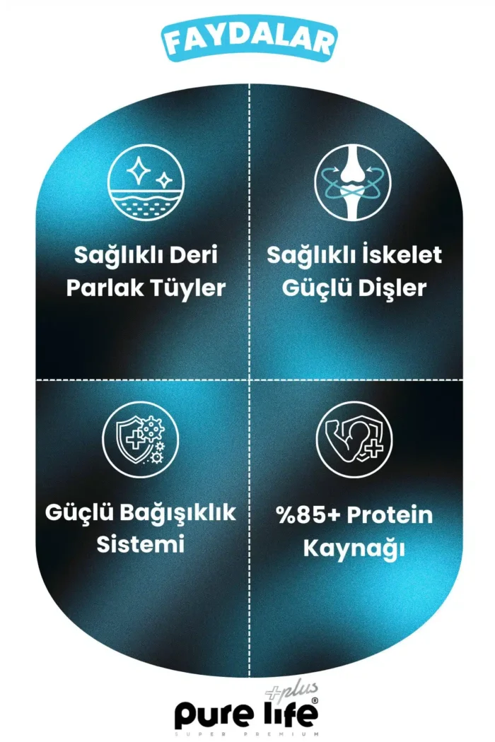 PURELİFE PLUS SOMONLU LOKMALIK 3