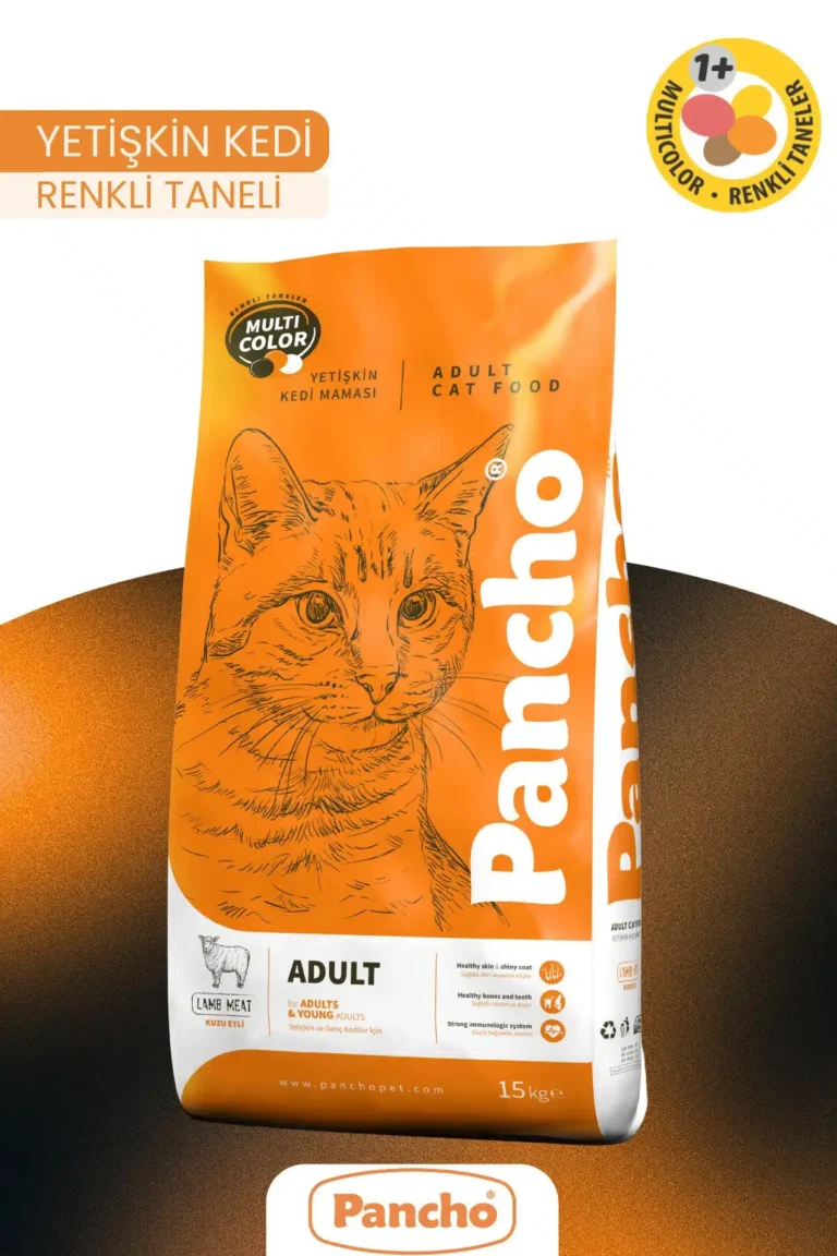 PANCHO RENKLİ YETİŞKİN KEDİ