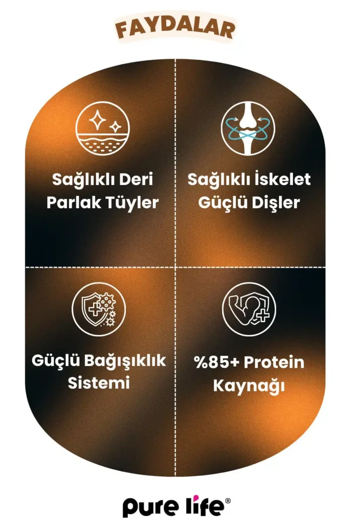 PURELİFE PLUS SOMONLU TAVUKLU 4