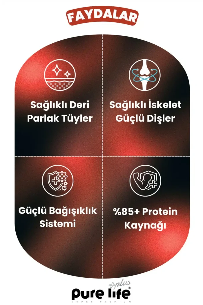 PURELİFE PLUS KÖPEK ÖDÜL 2