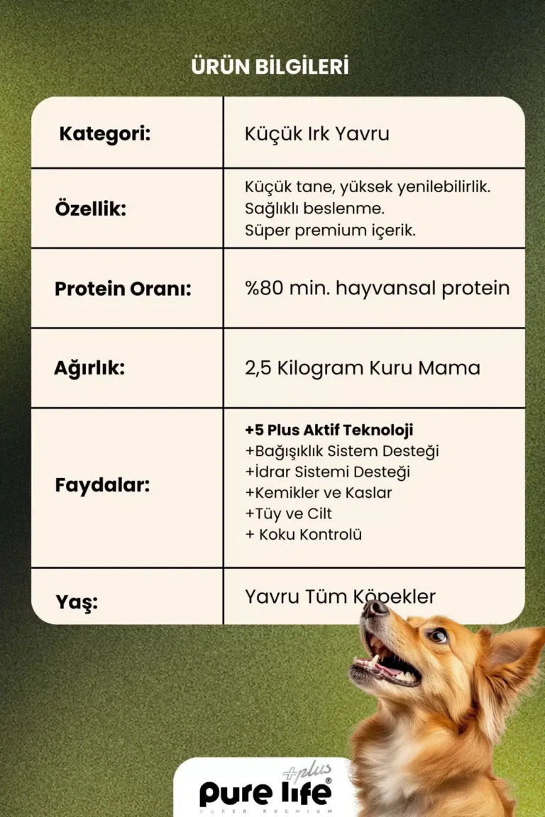 PURELİFE PLUS KUZULU KÜÇÜK 2