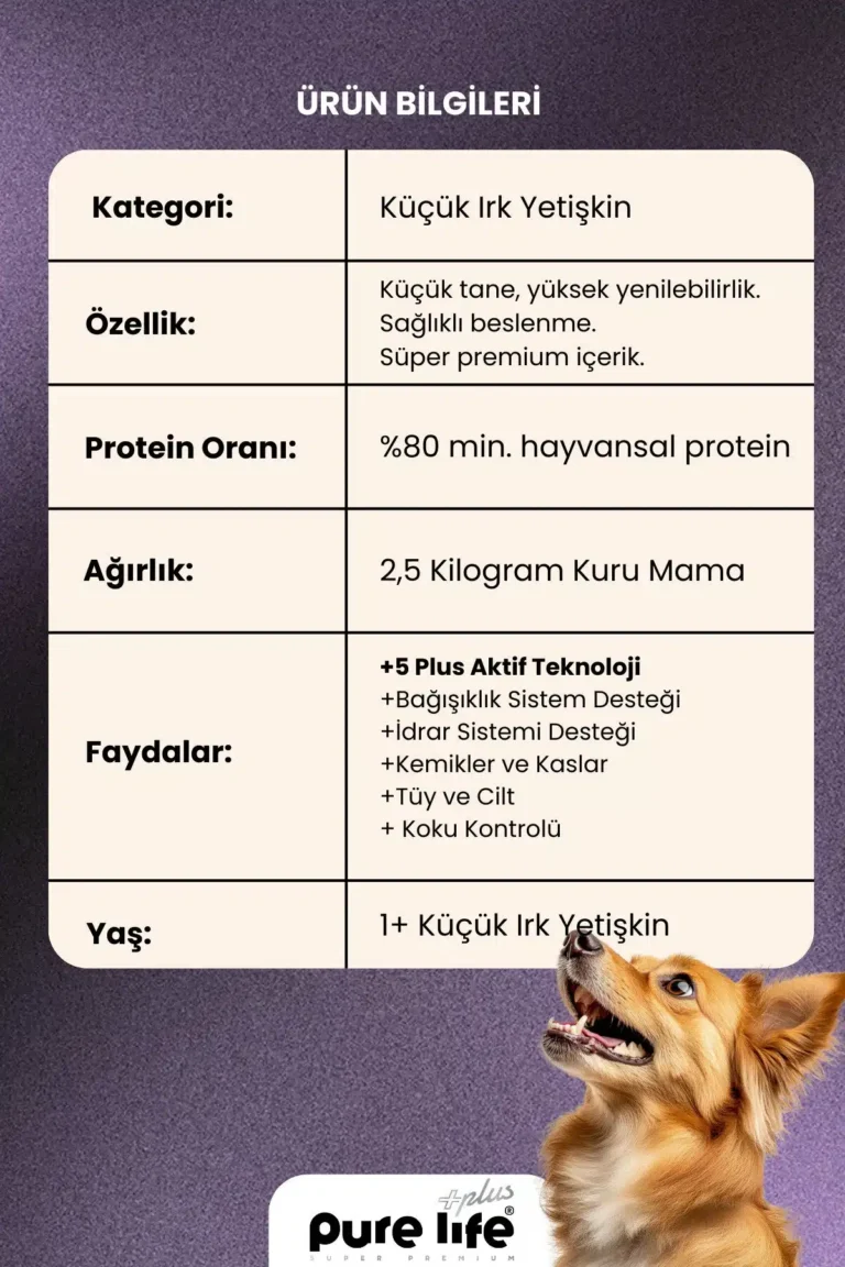 PURELİFE PLUS SOMONLU KÜÇÜK 2