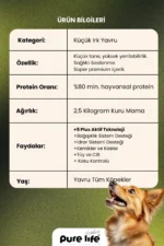 PURELİFE PLUS SOMONLU KÜÇÜK 2