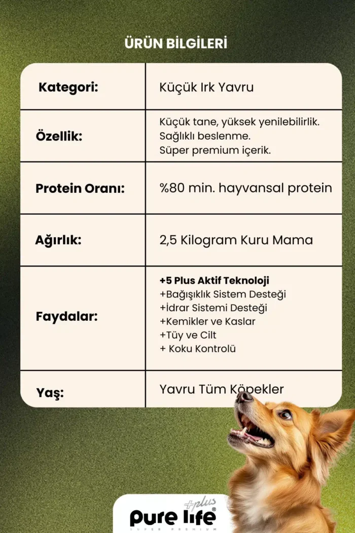 PURELİFE PLUS SOMONLU KÜÇÜK 2