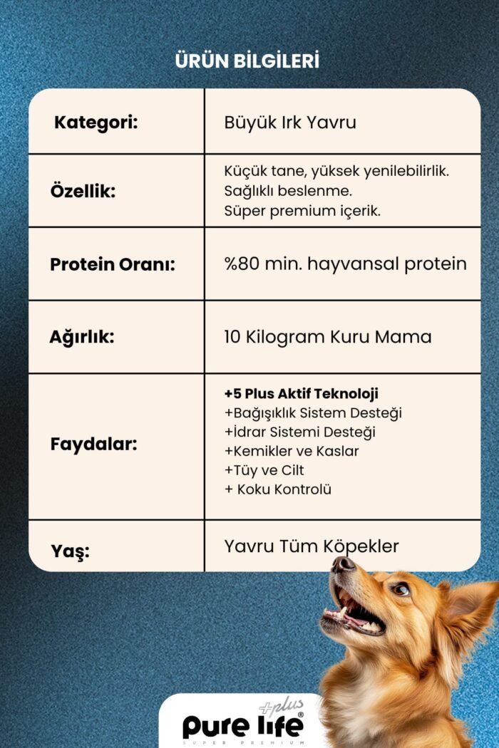 PURELİFE PLUS SOMONLU BÜYÜK 2