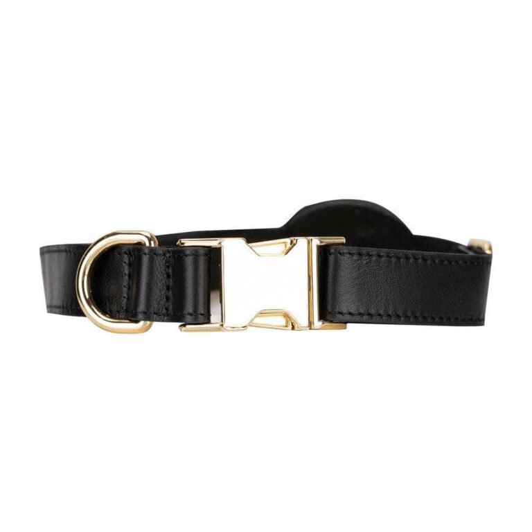 Bloominbag Bloompaw Black Airtag 2