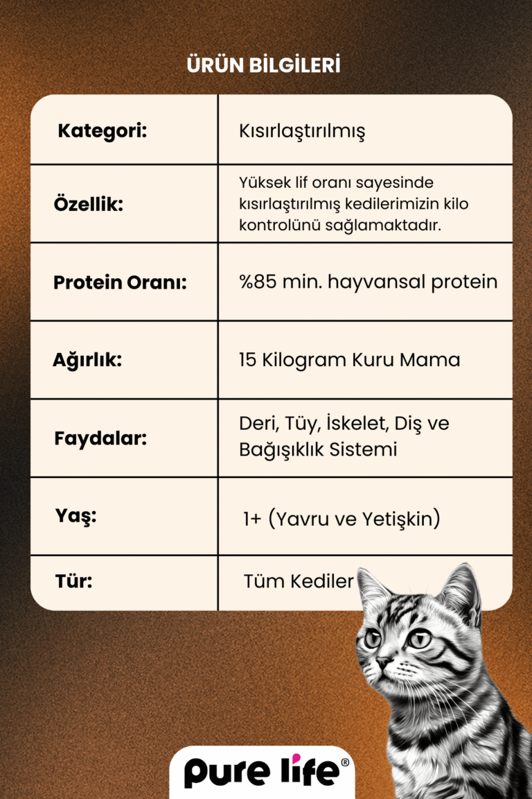 PURELİFE KISIR YETİŞKİN KEDİ 2