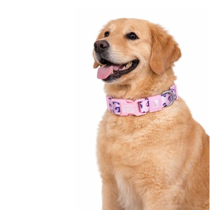 Bloominbag Swissplus Urban Paws 4