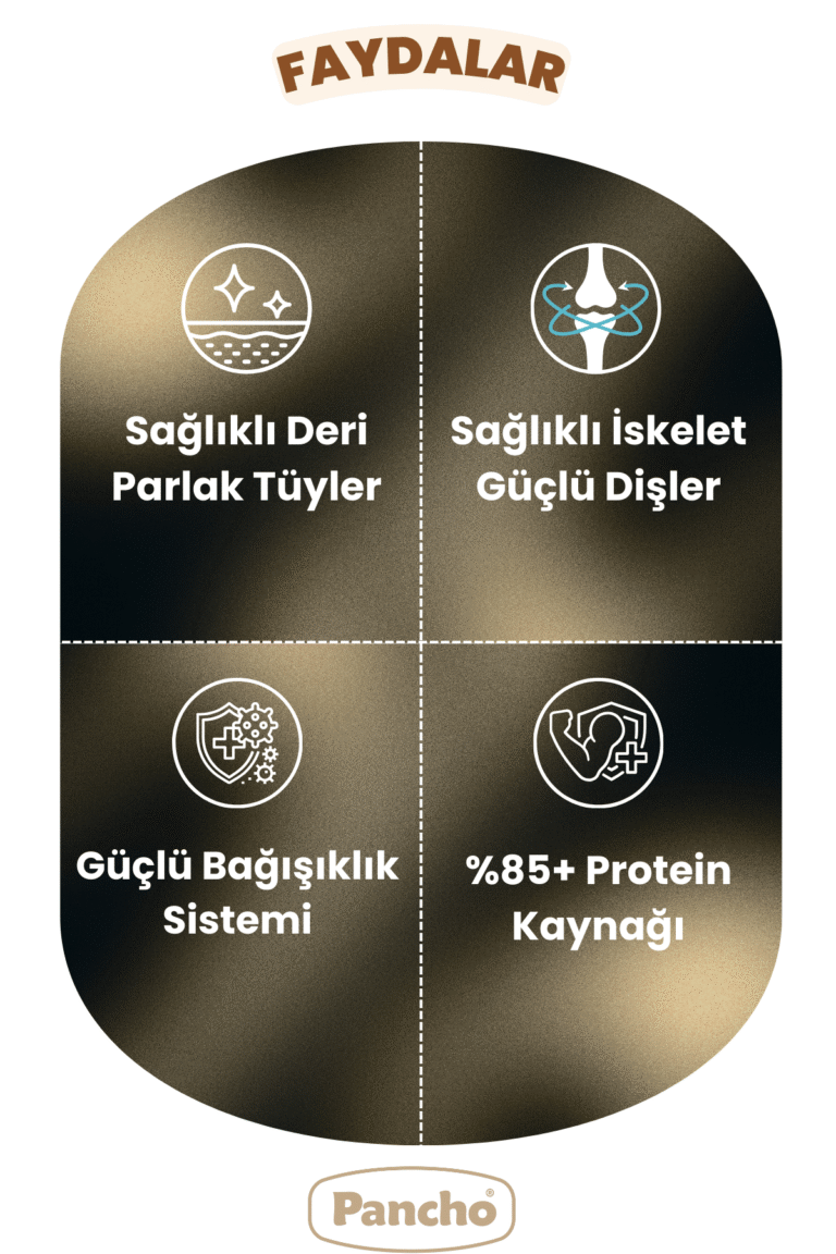 PANCHO EXTRA KUZU ETLİ 2