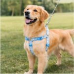 Bloominbag Swissplus Urban Paws 3