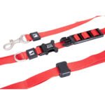 Bloominbag Swissplus Urban Paws 4