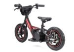 TRYBIKE RTX3 24V Elektrikli 2