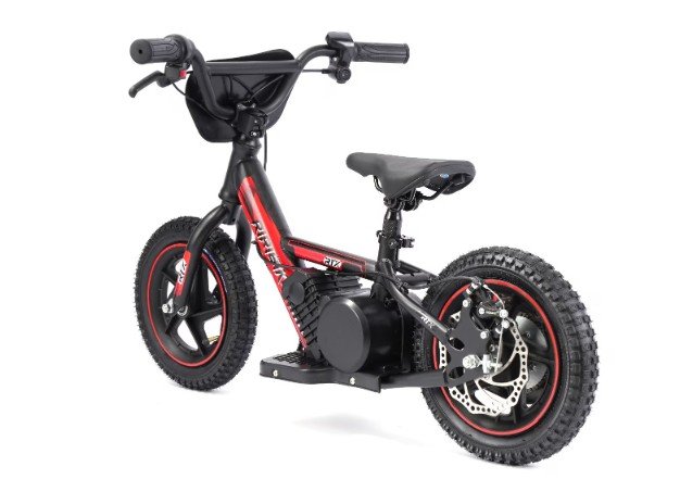 TRYBIKE RTX3 24V Elektrikli 2