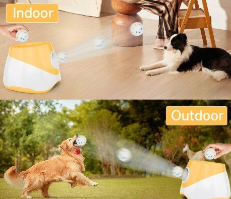 Otomatik Köpek Yakala-Getir Top 2