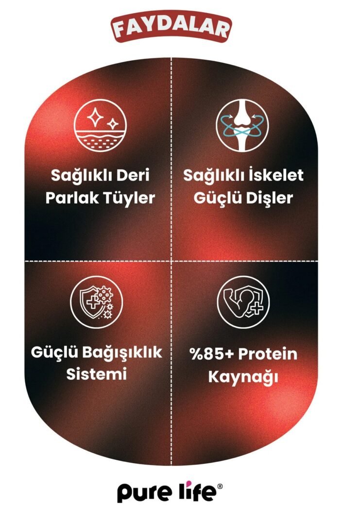 PURELİFE PRIME BİFTEKLİ YETİŞKİN 3