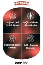 PURELİFE PATE SIĞIR ETLİ 3